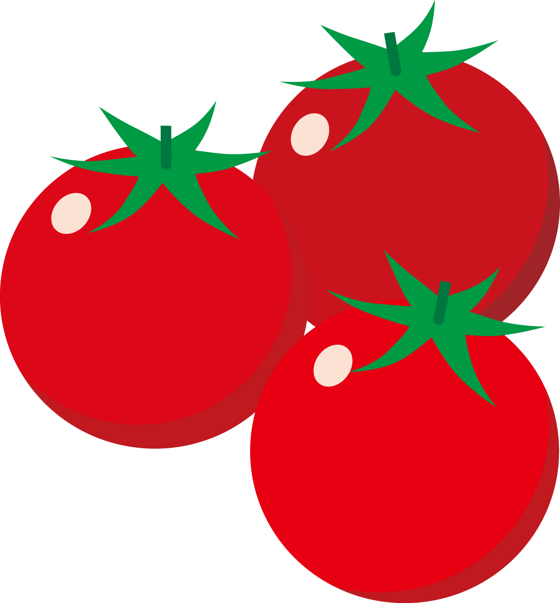 ダイソーでトマトの種を買って栽培したら初心者でも簡単だった 転職して時間ができたからブログでも書こう